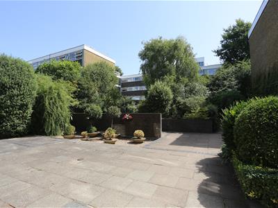 Picture 15
